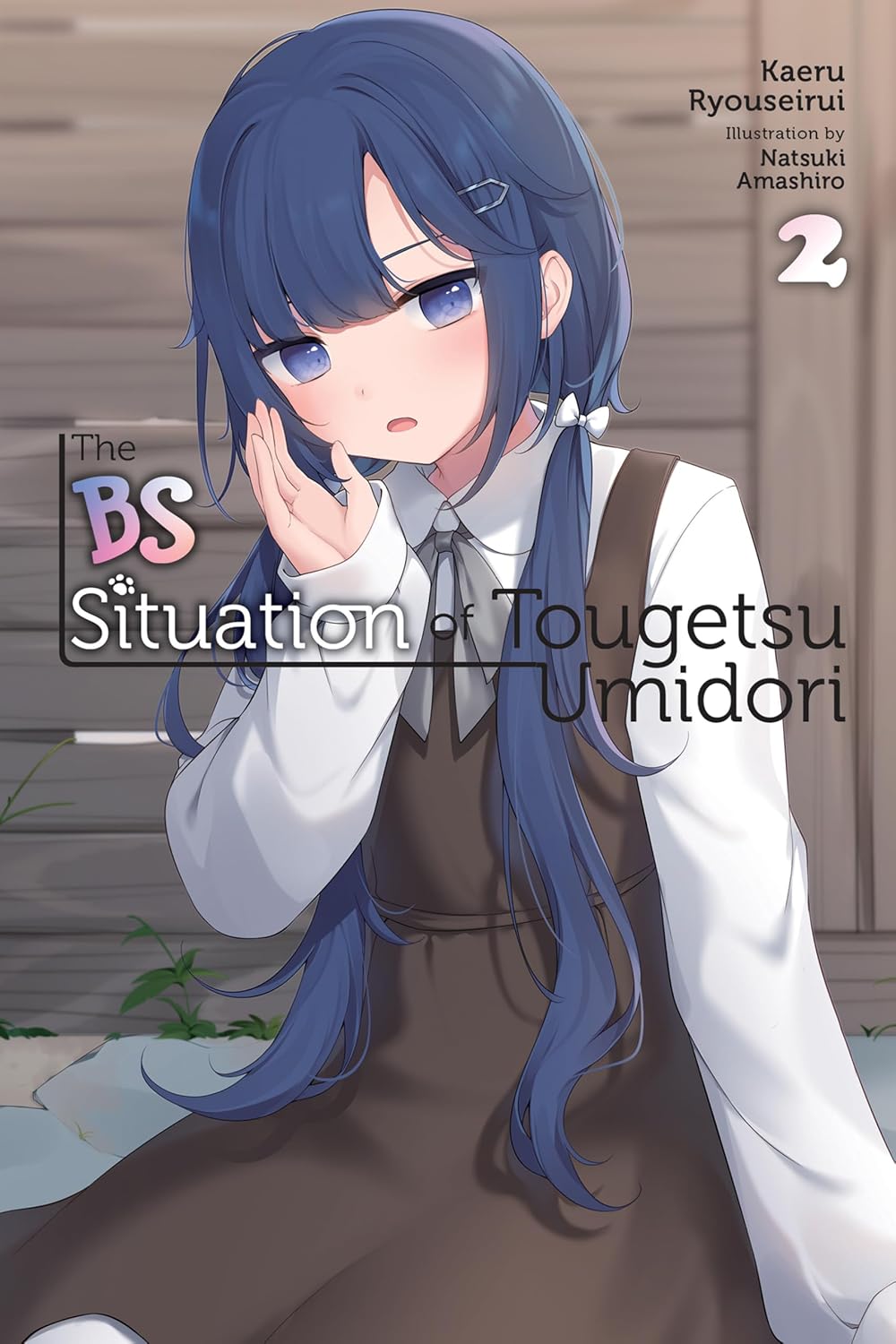 The BS Situation of Tougetsu Umidori Vol. 2 (Light Novel)